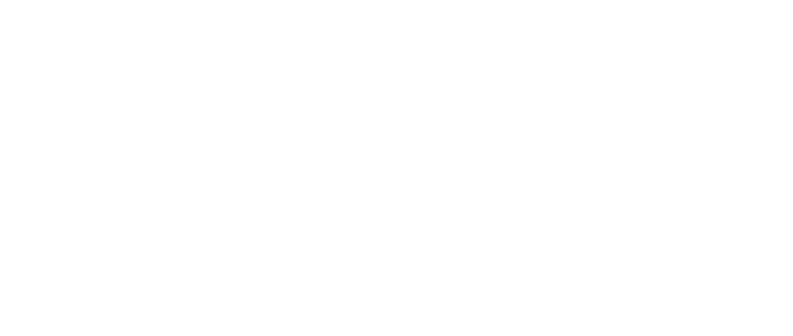 WOW The Agency