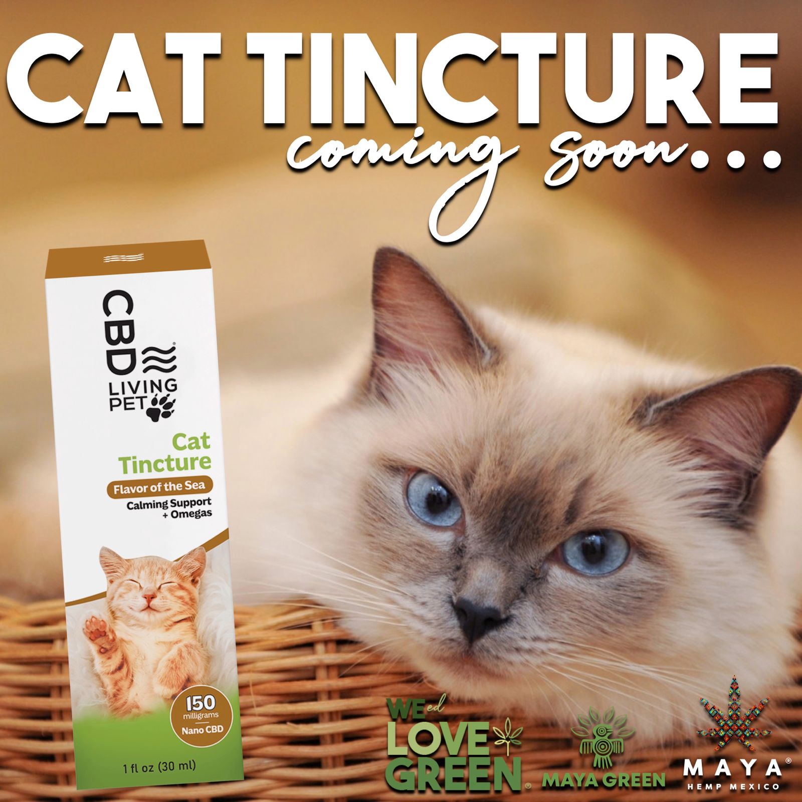 Flyer Weed Love Green — Cat Tincture coming soon